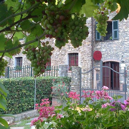 Agriturismo A Veggia Vigna Villa Garlenda Exterior photo