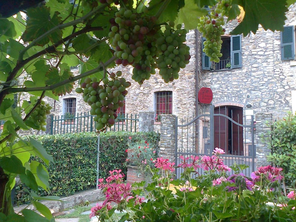 Agriturismo A Veggia Vigna Villa Garlenda Exterior photo